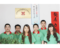 新宇發(fā)營(yíng)銷團(tuán)隊(duì)